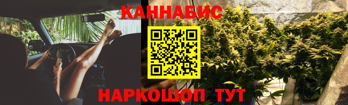 Бошки Шишки планчик  Вход с VPN  Бошки Шишки White Widow  Канабис MAZAR  Мирный 